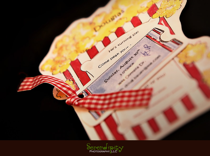 River Oaks Photography, Children Birthday Party Photography, 