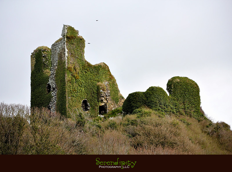 Abandoned+castles+in+ireland