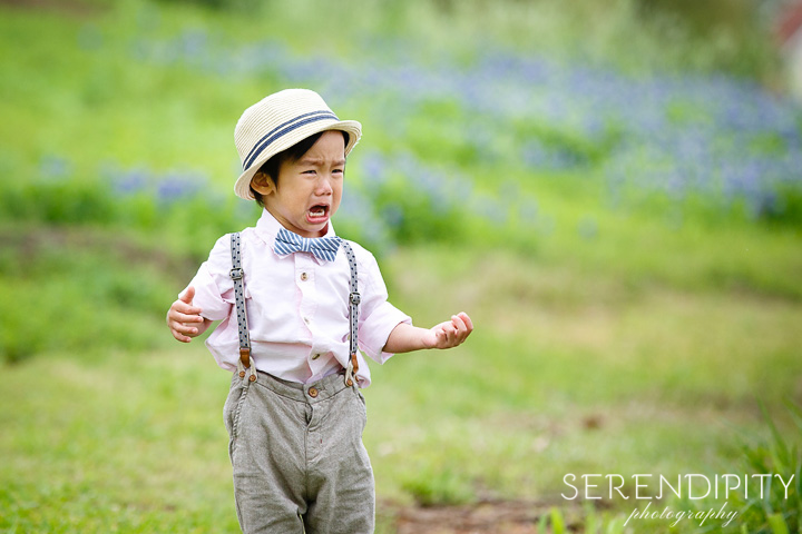 serendipity_20