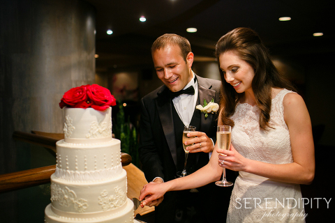 magnolia hotel wedding reception, cake cutting, Serendipity Photography, houston wedding,