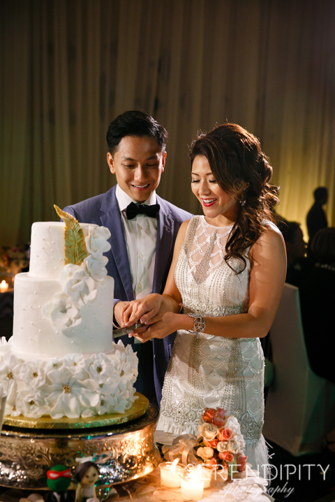 Wedding reception at the Hobby Center Houston, bride and groom portrait, cake cutting, houston wedding photographers